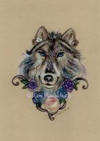 cobalt blue eyes wolf